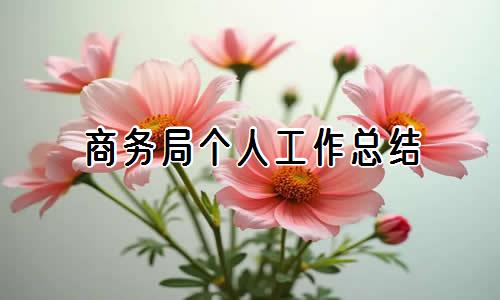 商务局个人年度工作总结【精选15篇】